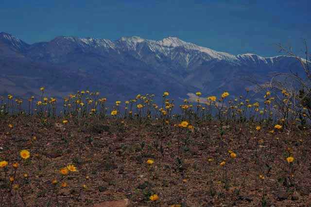 death valley